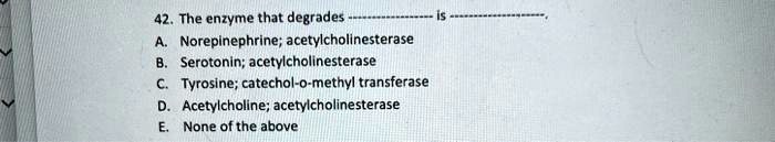 42. The enzyme that degrades —————- is —————-,
A. Norepinephrine; acetylcholinesterase
B. Serotonin; acetylcholinesterase
C. Tyrosine; catechol-o-methyl transferase
D. Acetylcholine; acetylcholinesterase
E. None of the above