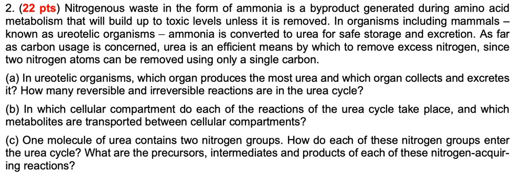 2. Nitrogenous waste in the form of ammonia is a byproduct generated during amino acid metabolism that will build up to toxic levels unless it is removed. In organisms including mammals – known as ureotelic organisms – ammonia is converted to urea for safe storage and excretion. As far as carbon usage is concerned, urea is an efficient means by which to remove excess nitrogen, since two nitrogen atoms can be removed using only a single carbon.

(a) In ureotelic organisms, which organ produces the most urea and which organ collects and excretes it? How many reversible and irreversible reactions are in the urea cycle?

(b) In which cellular compartment do each of the reactions of the urea cycle take place, and which metabolites are transported between cellular compartments?

(c) One molecule of urea contains two nitrogen groups. How do each of these nitrogen groups enter the urea cycle? What are the precursors, intermediates and products of each of these nitrogen-acquiring reactions?