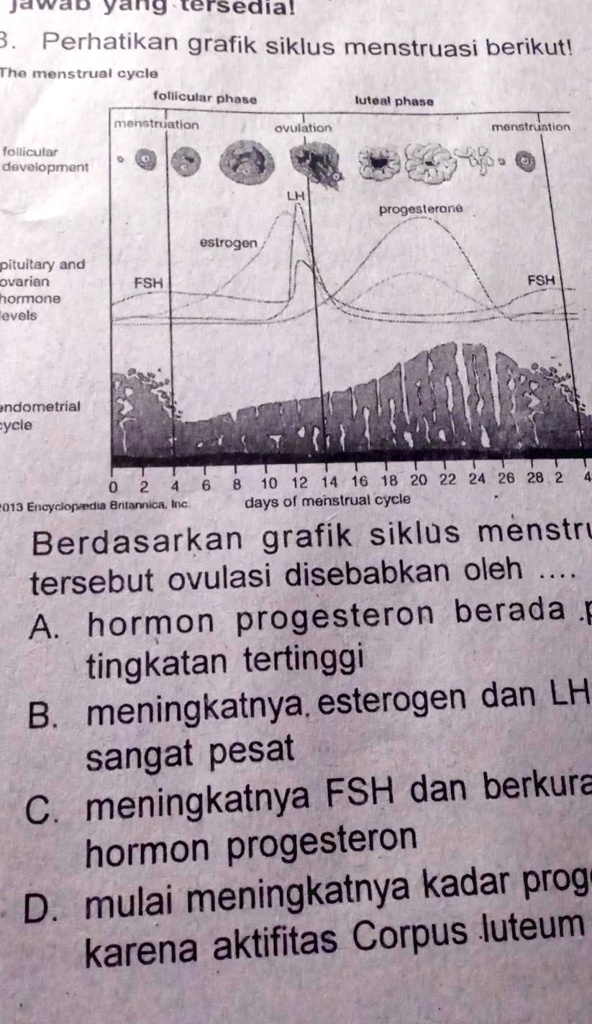 Solved Perhatikan Grafik Siklus Menstruasi Berikutberdasarkan Grafik Siklus Menstruasitersebut 5762