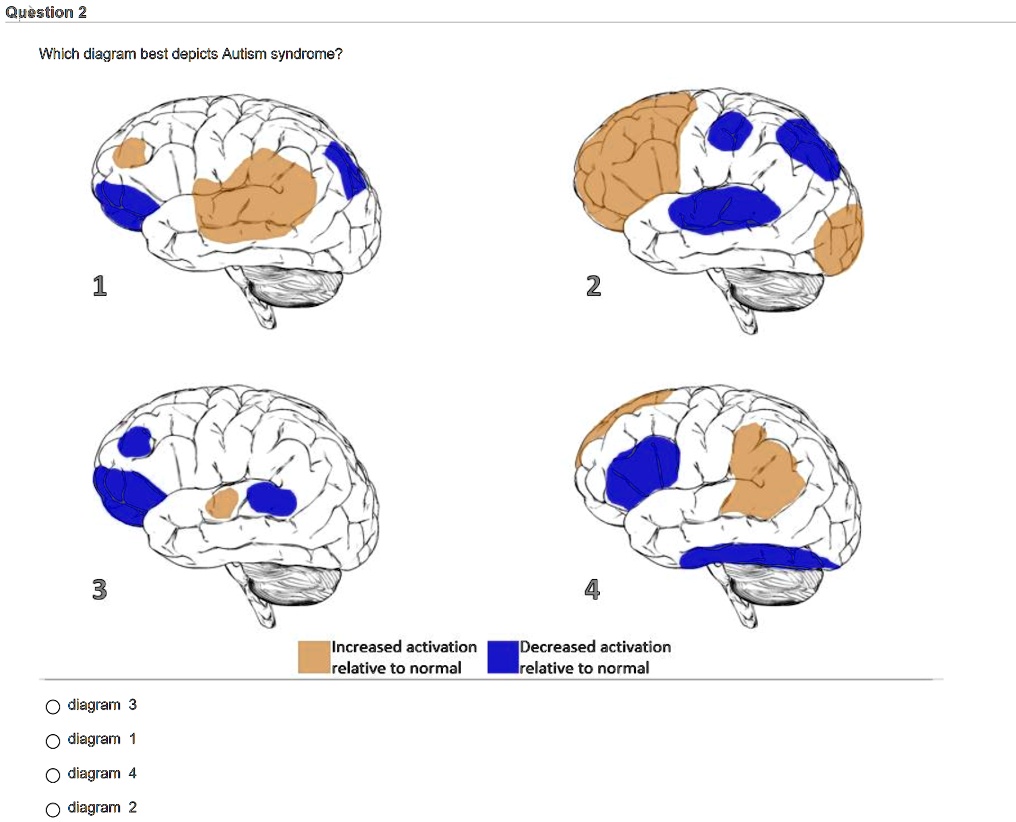 Which diagram best depicts Autism syndrome? 1 2 3 Increased activation ...