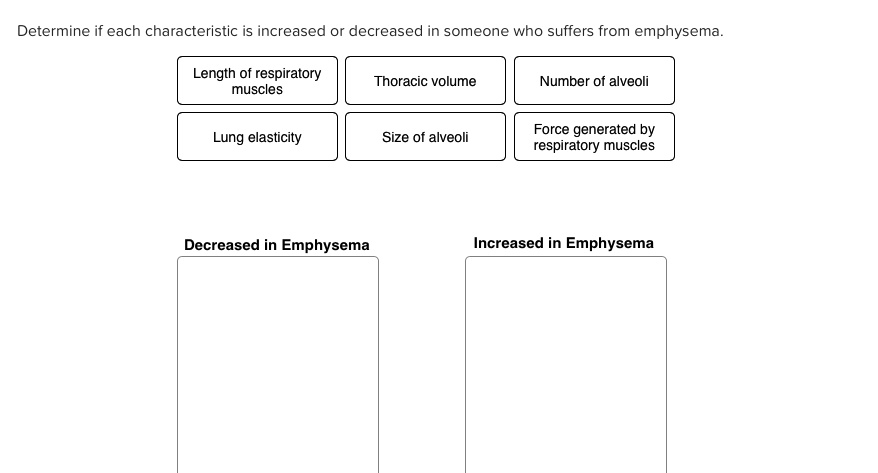 Determine if each characteristic is increased or decreased in someone who suffers from emphysema.
Length of respiratory
muscles
Thoracic volume
Number of alveoli
Lung elasticity
Size of alveoli
Force generated by
respiratory muscles
Decreased in Emphysema
Increased in Emphysema