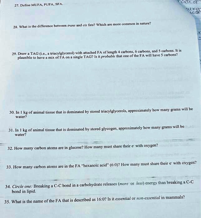 SOLVED: 27. Define MUFA, PUFA, SFA. 28. What is the difference between ...