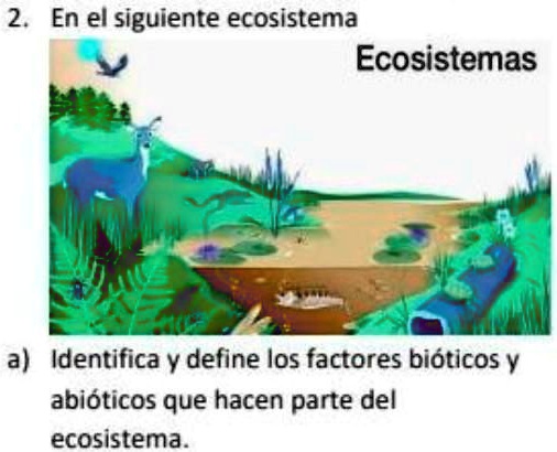 SOLVED: naturales ayudenme es para hoy 2. En el siguiente ecosistema ...