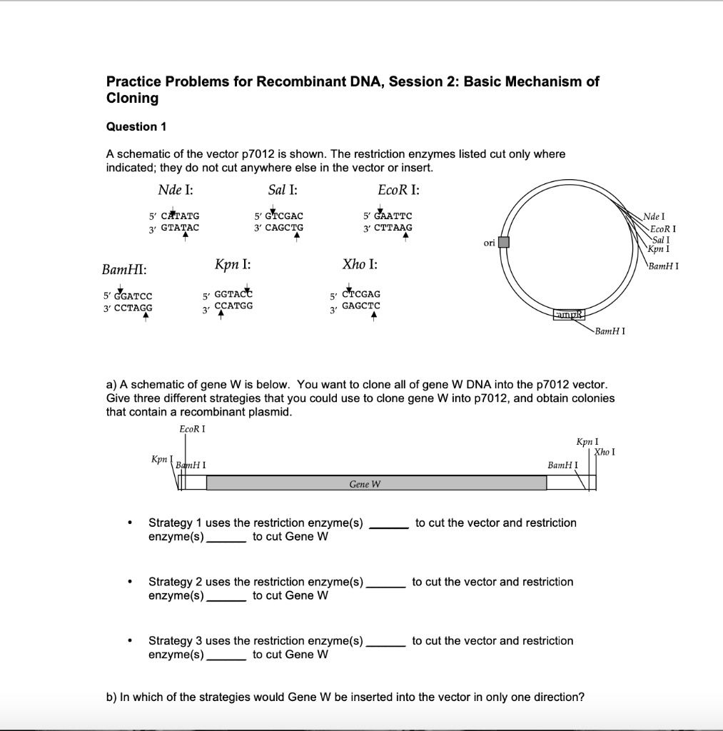 SOLVED Practice Problems for DNA, Session 2 Basic Mechanism of Cloning Question A