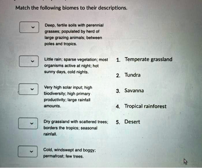 Match the following biomes to their descriptions.

Deep, fertile soils with perennial grasses; populated by herd of large grazing animals; between poles and tropics.

Little rain; sparse vegetation; most organisms active at night; hot sunny days, cold nights.

Very high solar input; high biodiversity; high primary productivity; large rainfall amounts.

Dry grassland with scattered trees; borders the tropics; seasonal rainfall.

Cold, windswept and boggy; permafrost; few trees.

1. Temperate grassland
2. Tundra
3. Savanna
4. Tropical rainforest
5. Desert