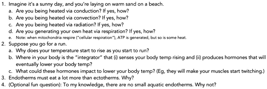 1 imagine its a sunny day and youre laying on warm sand on a beach a are you being heated via conduction if yes how b are you being heated via convection if yes how c are you being heated vi 91975