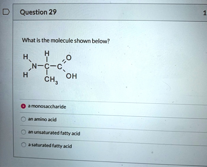 What is the molecule shown below?
H
H-N-C-C=O
H CH3 OH
a monosaccharide
an amino acid
an unsaturated fatty acid
a saturated fatty acid