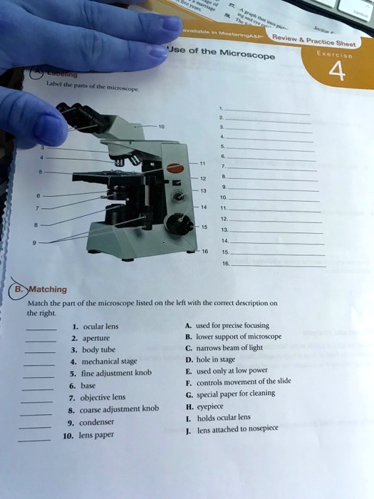 SOLVED Text Review Practice Sheet Use of the Microscope 4 Label the