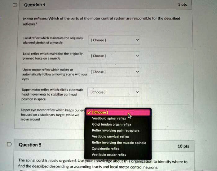 Question 4 5 pts Motor reflexes: Which of the parts of the motor ...