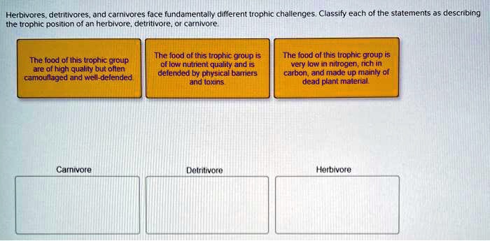 Herbivores, detritivores, and carnivores face fundamentally different trophic challenges. Classify each of the statements as describing the trophic position of an herbivore, detritivore, or carnivore.
The food of this trophic group are of high quality but often camouflaged and well-defended.
The food of this trophic group is of low nutrient quality and is defended by physical barriers and toxins.
The food of this trophic group is very low in nitrogen, rich in carbon, and made up mainly of dead plant material.
Carnivore
Detritivore
Herbivore