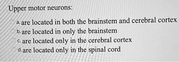 SOLVED: Upper motor neurons: a.are located in both the brainstem and ...