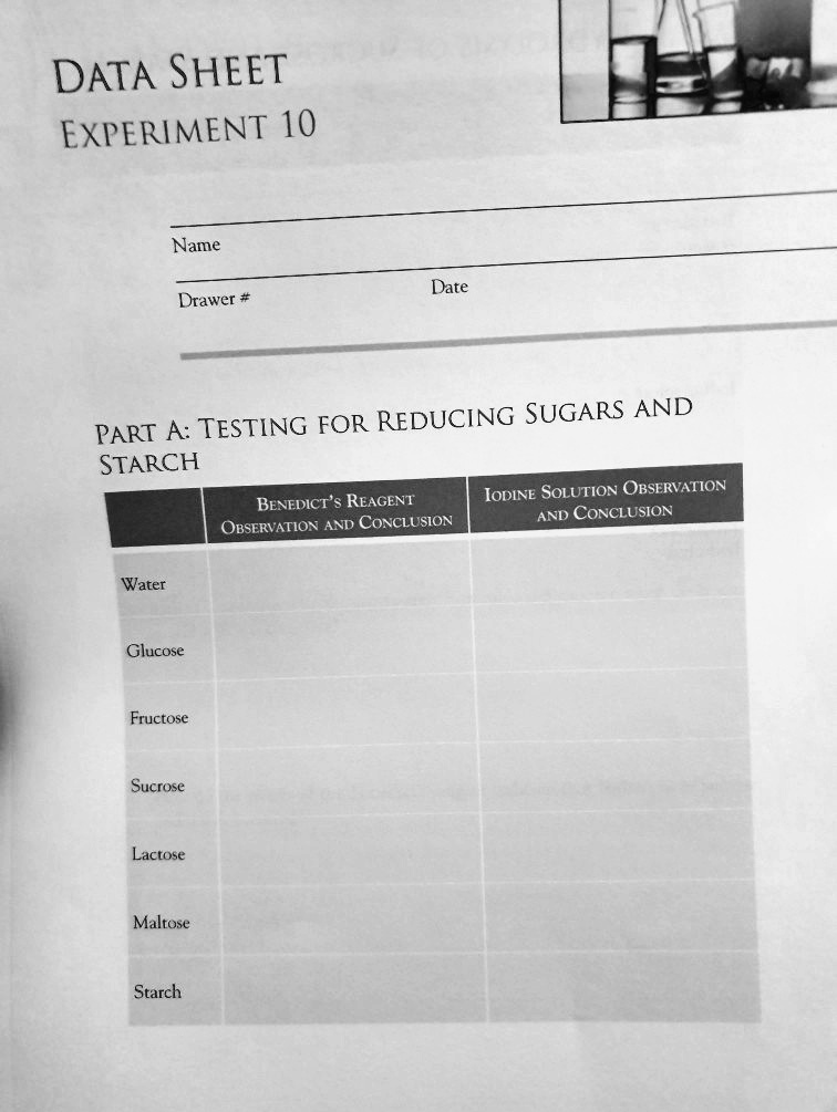 SOLVED: DATA SHEET EXPERIMENT 10 Name Date Drawer A: TESTING FOR ...