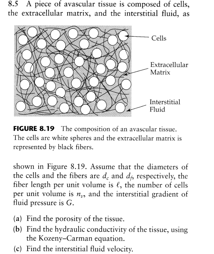 SOLVED 8.5 A piece of avascular tissue is composed of cells, the