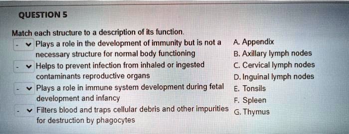 SOLVED: QUESTION 5 Match each structure t0 description of its function ...