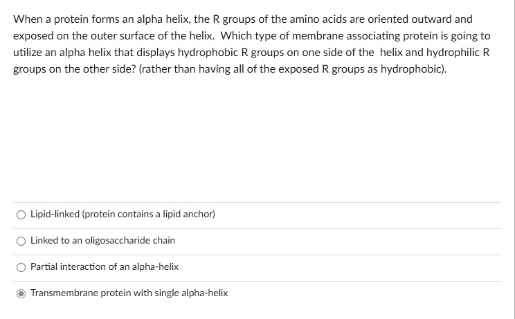 When a protein forms an alpha helix, the R groups of the amino acids are oriented outward and exposed on the outer surface of the helix. Which type of membrane associating protein is going to utilize an alpha helix that displays hydrophobic R groups on one side of the helix and hydrophilic R groups on the other side? (rather than having all of the exposed R groups as hydrophobic). Lipid-linked (protein contains a lipid anchor) Linked to an oligosaccharide chain Partial interaction of an alpha-helix Transmembrane protein with single alpha-helix