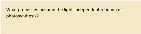 What processes occur in the light-independent reaction of photosynthesis?