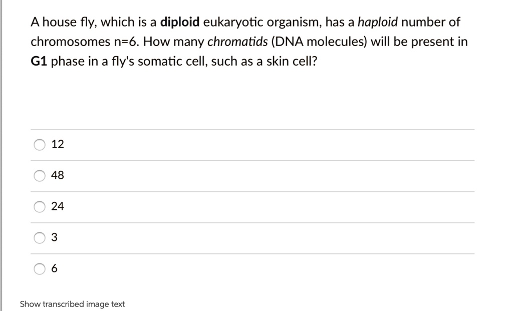 SOLVED A house fly, which is a diploid eukaryotic organism, has a