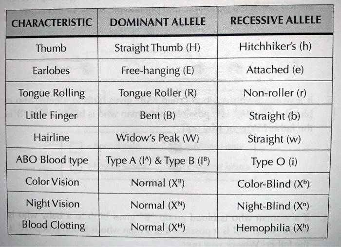 SOLVED CHARACTERISTIC DOMINANT ALLELE RECESSIVE ALLELE Thumb Straight