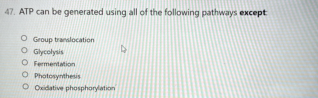 47. ATP can be generated using all of the following pathways except:
O Group translocation
O Glycolysis
O Fermentation
O Photosynthesis
O Oxidative phosphorylation