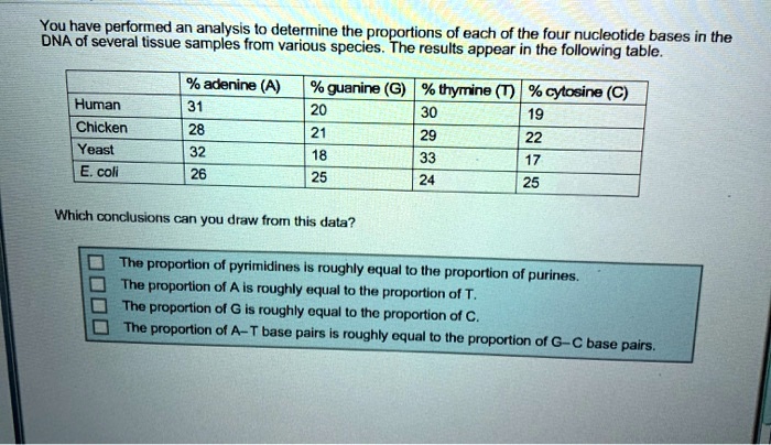 You have performed an analysis to determine the proportions of each of the four nucleotide bases in the
DNA of several tissue samples from various species. The results appear in the following table.

% adenine (A) % guanine (G) % thymine (T) % cytosine (C)
Human 31 20 30 19
Chicken 28 21 29 22
Yeast 32 18 33 17
E. coli 26 25 24 25

Which conclusions can you draw from this data?

The proportion of pyrimidines is roughly equal to the proportion of purines.
The proportion of A is roughly equal to the proportion of T.
The proportion of G is roughly equal to the proportion of C.
The proportion of A–T base pairs is roughly equal to the proportion of G–C base pairs.