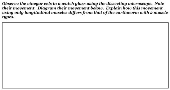 SOLVED: Observe the vinegar eels in a watch glass using the dissecting ...