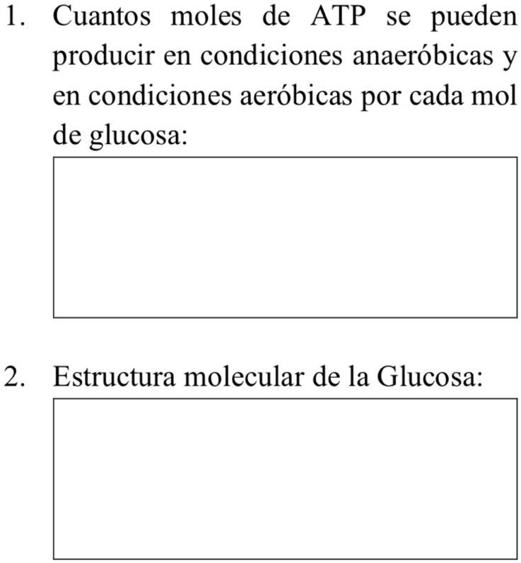 SOLVED: Grafica Los Siguientes Ejercicios 1 Cuantos Moles De ATP Se ...