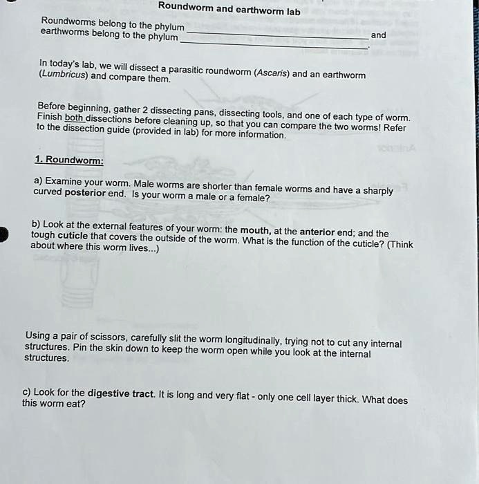 SOLVED Answer All The Options Roundworm And Earthworm Lab Roundworms SOLVED Answer All The Options Roundworm And Earthworm Lab Roundworms