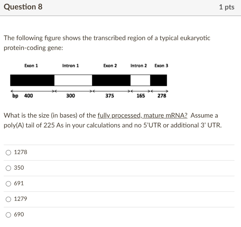 SOLVED: Question 8 1 pts The following figure shows the transcribed region  of a typical eukaryotic protein-coding gene: Exon 1 Intron 1 Exon 2 Intron  2 Exon 3 bp 400 300 375