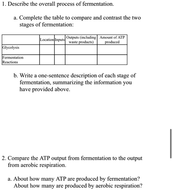 SOLVED Describe the overall process of fermentation. Complete the