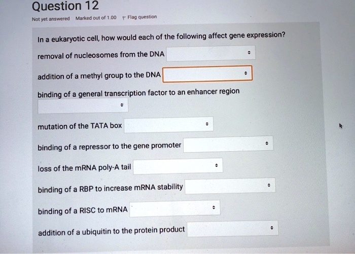 In a eukaryotic cell, how would each of the following affect gene expression?
removal of nucleosomes from the DNA
addition of a methyl group to the DNA
binding of a general transcription factor to an enhancer region
mutation of the TATA box
binding of a repressor to the gene promoter
loss of the mRNA poly-A tail
binding of a RBP to increase mRNA stability
binding of a RISC to mRNA
addition of a ubiquitin to the protein product