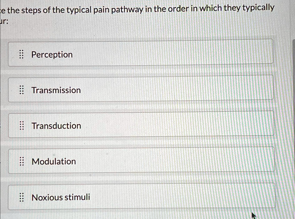 SOLVED: Place the steps of the typical pain pathway in the order in ...
