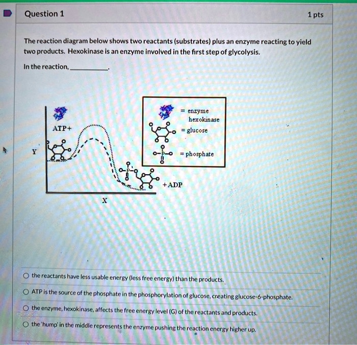 question l 1pts the reaction diagram below shows two reactants ...