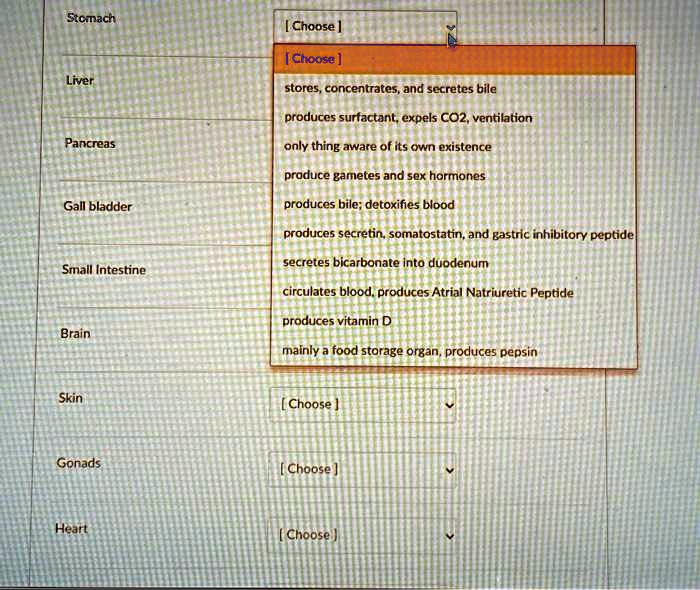 SOLVED Stomach [Choose] [Choose] Liver stores, concentrates, and