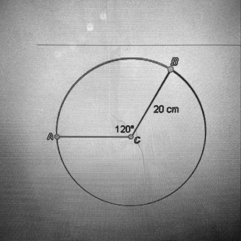 SOLVED In The Diagram Below What Is The Approximate Length Of The 