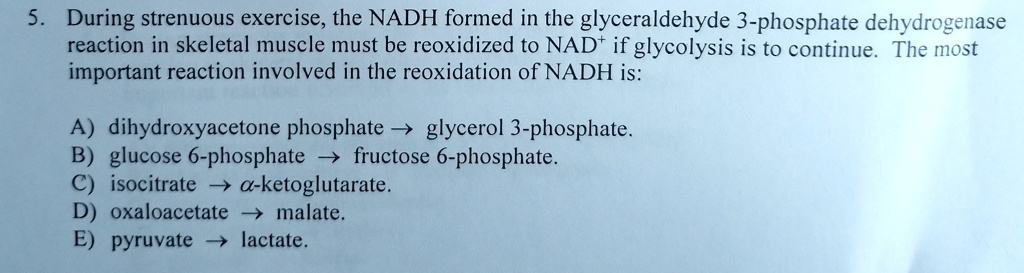 5. During strenuous exercise, the NADH formed in the glyceraldehyde 3-phosphate dehydrogenase reaction in skeletal muscle must be reoxidized to NAD+ if glycolysis is to continue. The most important reaction involved in the reoxidation of NADH is:

A) dihydroxyacetone phosphate ? glycerol 3-phosphate.
B) glucose 6-phosphate ? fructose 6-phosphate.
C) isocitrate ? ?-ketoglutarate.
D) oxaloacetate ? malate.
E) pyruvate ? lactate.