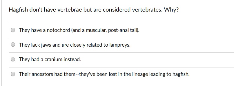 SOLVED: Hagfish don't have vertebrae but are considered vertebrates