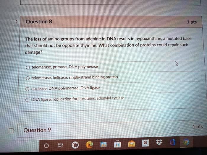 Question 8
1 pts
The loss of amino groups from adenine in DNA results in hypoxanthine, a mutated base that should not be opposite thymine. What combination of proteins could repair such damage?
telomerase, primase, DNA polymerase
telomerase, helicase, single-strand binding protein
nuclease, DNA polymerase, DNA ligase
DNA ligase, replication fork proteins, adenylyl cyclase