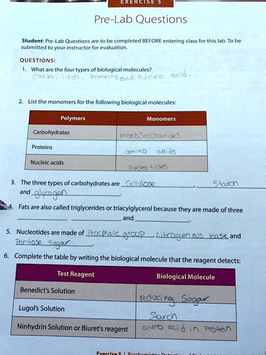 SOLVED: Erereise Pre-Lab Questions Student: Pre-Lab Questions are be ...