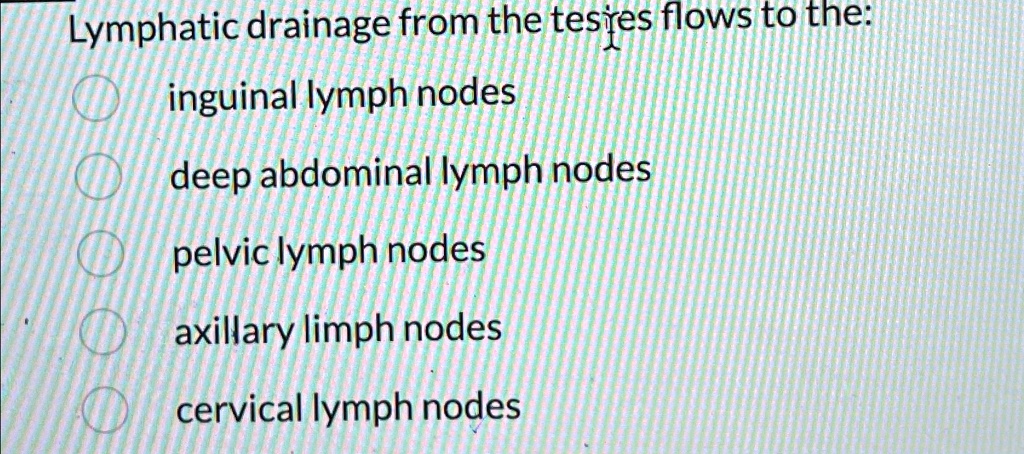 Lymphatic drainage from the testes flows to the: inguinal lymph nodes ...