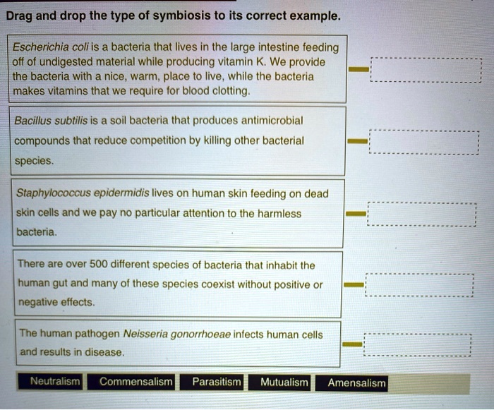 Drag and drop the type of symbiosis to its correct example.

Escherichia coli is a bacteria that lives in the large intestine feeding off of undigested material while producing vitamin K. We provide the bacteria with a nice, warm, place to live, while the bacteria makes vitamins that we require for blood clotting.

Bacillus subtilis is a soil bacteria that produces antimicrobial compounds that reduce competition by killing other bacterial species.

Staphylococcus epidermidis lives on human skin feeding on dead skin cells and we pay no particular attention to the harmless bacteria.

There are over 500 different species of bacteria that inhabit the human gut and many of these species coexist without positive or negative effects.

The human pathogen Neisseria gonorrhoeae infects human cells and results in disease.

Neutralism Commensalism Parasitism Mutualism Amensalism