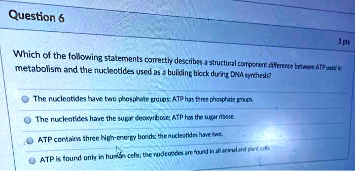 Which Of The Following Statements Concerning Cellular Metabolism Is False SOLVED: Question 6 Ipts Which of the following statements correctly