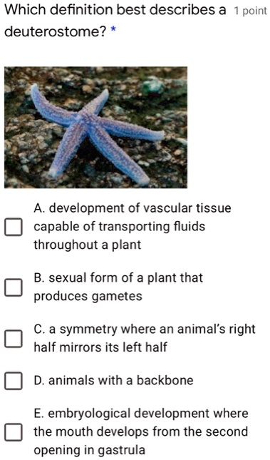 SOLVED: Which definition best describes a point deuterostome? A.  development of vascular tissue capable of transporting fluids throughout a  plant sexual form of a plant that produces gametes a symmetry where an