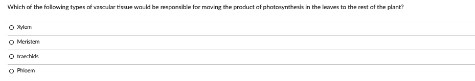 Which of the following types of vascular tissue would be responsible for moving the product of photosynthesis in the leaves to the rest of the plant?

Xylem
Meristem
traechids
Phloem