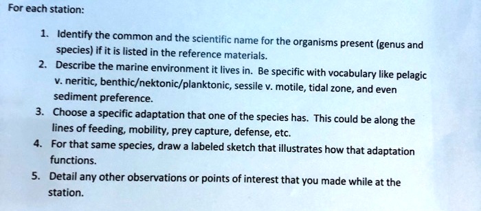 For each station:
1. Identify the common and the scientific name for the organisms present (genus and
species) if it is listed in the reference materials.
2. Describe the marine environment it lives in. Be specific with vocabulary like pelagic
v. neritic, benthic/nektonic/planktonic, sessile v. motile, tidal zone, and even
sediment preference.
3. Choose a specific adaptation that one of the species has. This could be along the
lines of feeding, mobility, prey capture, defense, etc.
4. For that same species, draw a labeled sketch that illustrates how that adaptation
functions.
5. Detail any other observations or points of interest that you made while at the
station.