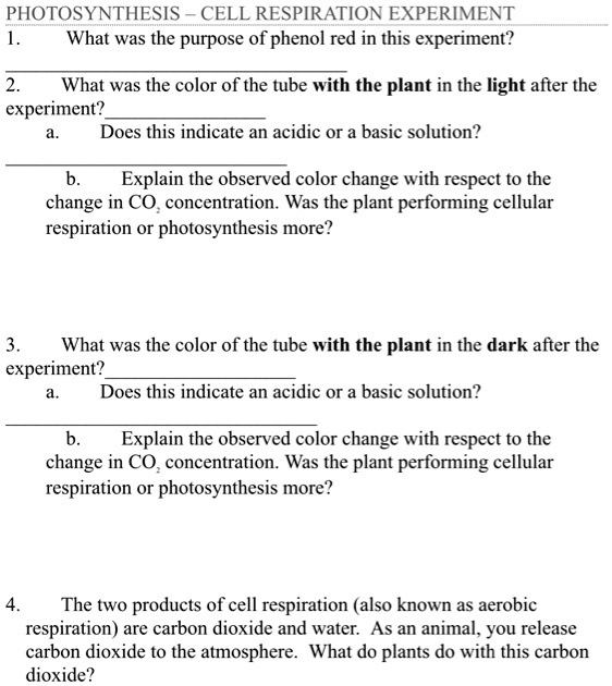 SOLVED PHOTOSYNTHESIS CELL RESPIRATION EXPERIMENT What was the purpose