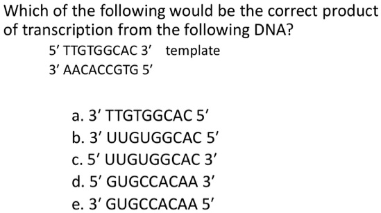 Which of the following would be the correct product
of transcription from the following DNA?
5' TTGTGGCAC 3' template
3' AACACCGTG 5'
a. 3' TTGTGGCAC 5'
b. 3' UUGUGGCAC 5'
c. 5' UUGUGGCAC 3'
d. 5' GUGCCACAA 3'
e. 3' GUGCCACAA 5'