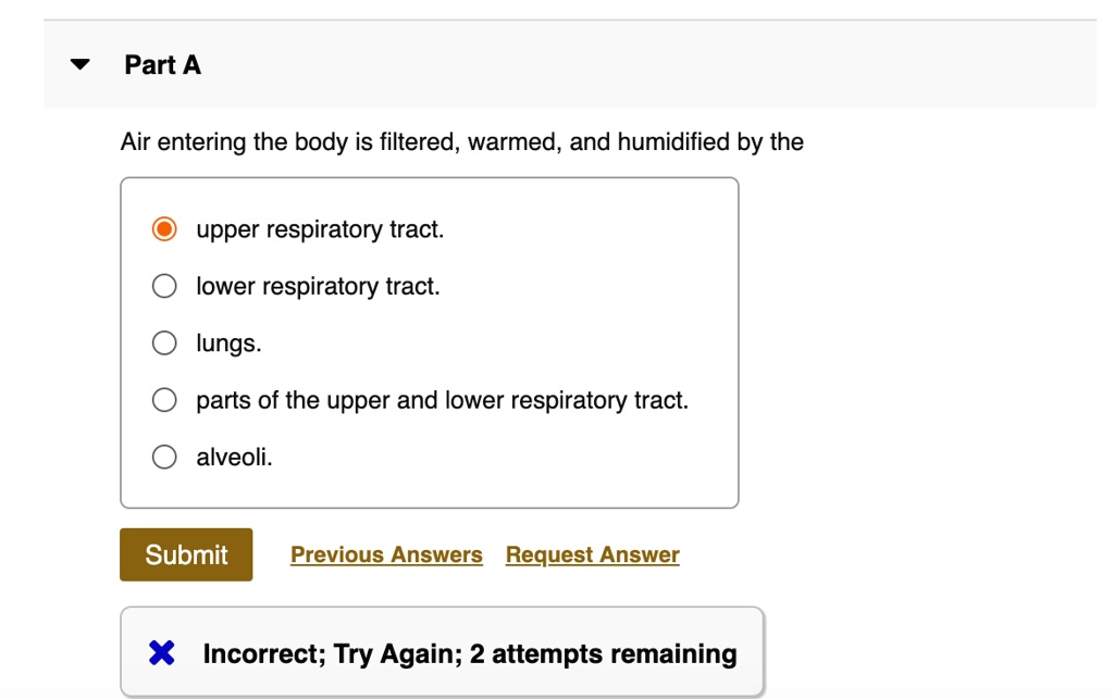 Part A

Air entering the body is filtered, warmed, and humidified by the

upper respiratory tract.
lower respiratory tract.
lungs.
parts of the upper and lower respiratory tract.
alveoli.