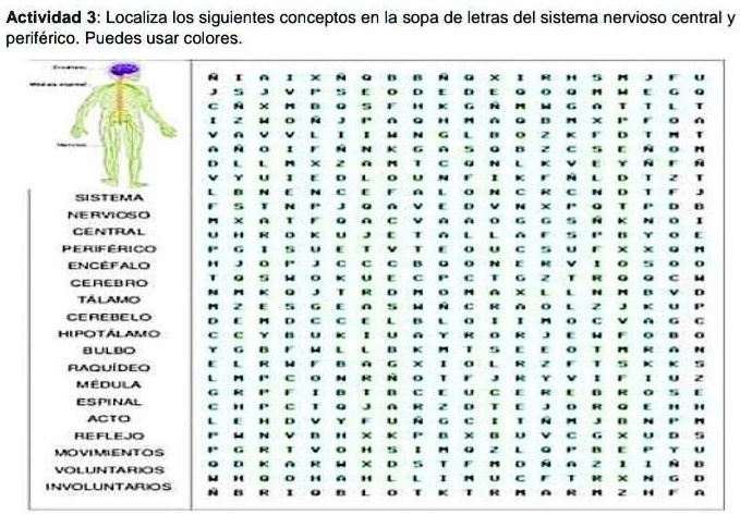 SOLVED: localiza las siguientes conceptos en una sopa de letras del
