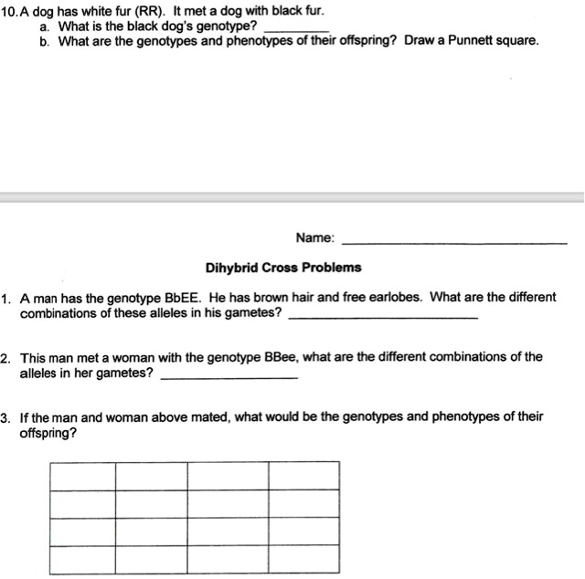 SOLVED 10.A dog has white fur (RR) It met dog with black fur. What is the black dog's