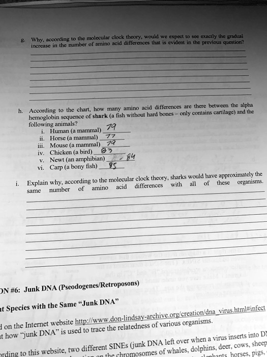 g. Why, according to the molecular clock theory, would we expect to see exactly the gradual increase in the number of amino acid differences that is evident in the previous question? h. According to the chart, how many amino acid differences are there between the alpha hemoglobin sequence of shark (a fish without hard bones - only contains cartilage) and the following animals? i. Human (a mammal) 79 ii. Horse (a mammal) 77 iii. Mouse (a mammal) 79 iv. Chicken (a bird) 83 v. Newt (an amphibian) 84 vi. Carp (a bony fish) 85 i. Explain why, according to the molecular clock theory, sharks would have approximately the same number of amino acid differences with all of these organisms. ON #6: Junk DNA (Pseudogenes/Retroposons) t Species with the Same "Junk DNA" d on the Internet website http://www.don-lindsay-archive.org/creation/dnavirus.html#infect t how "junk DNA" is used to trace the relatedness of various organisms. rding to this website, two different SINEs (junk DNA left over when a virus inserts into D